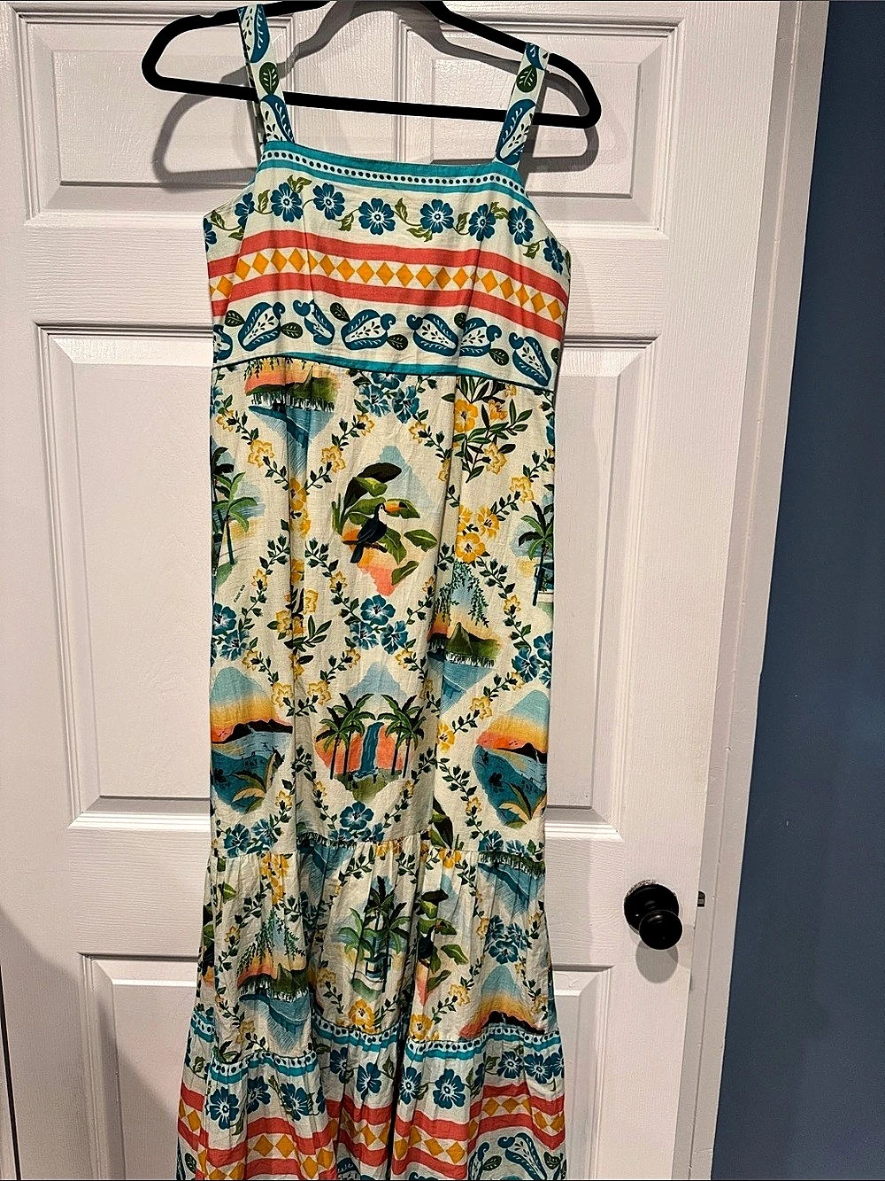 Farm Rio Floral Maxi Dress Size Small Like New